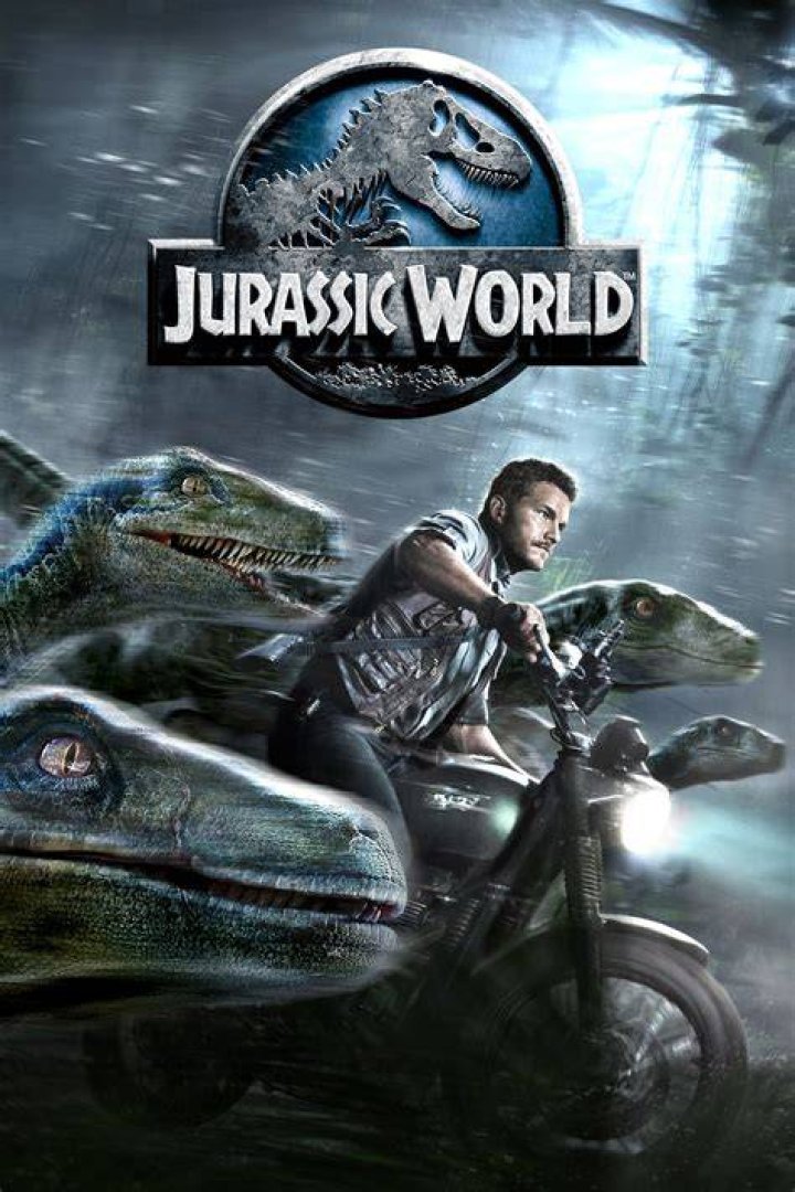 Cover all: The Jurassic World actor covered up his famous face with a pair of sunglasses and completed the look with a camouflage hat